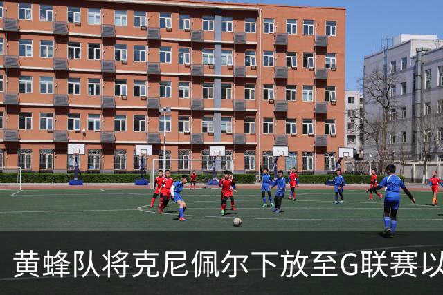 黄蜂队将克尼佩尔下放至G联赛以恢复训练